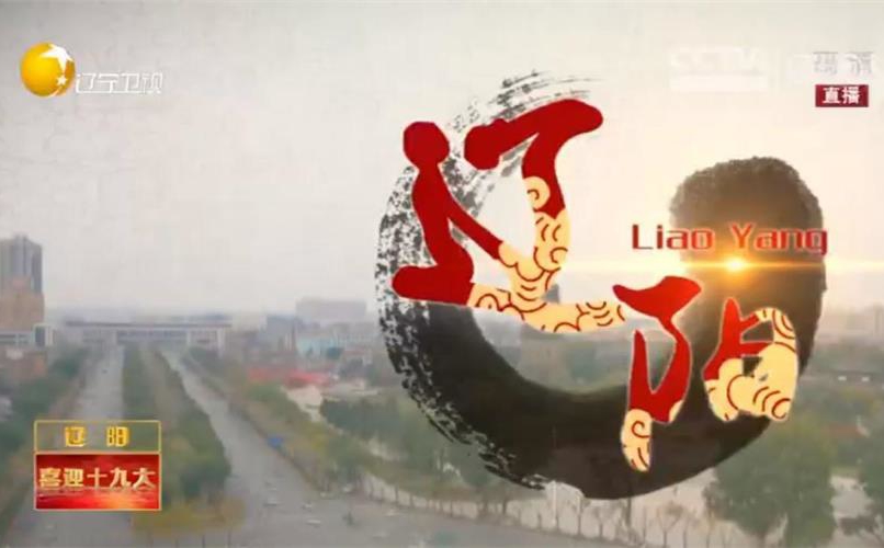 旗号引领振兴---走进辽阳智慧社区福民社区智慧厅